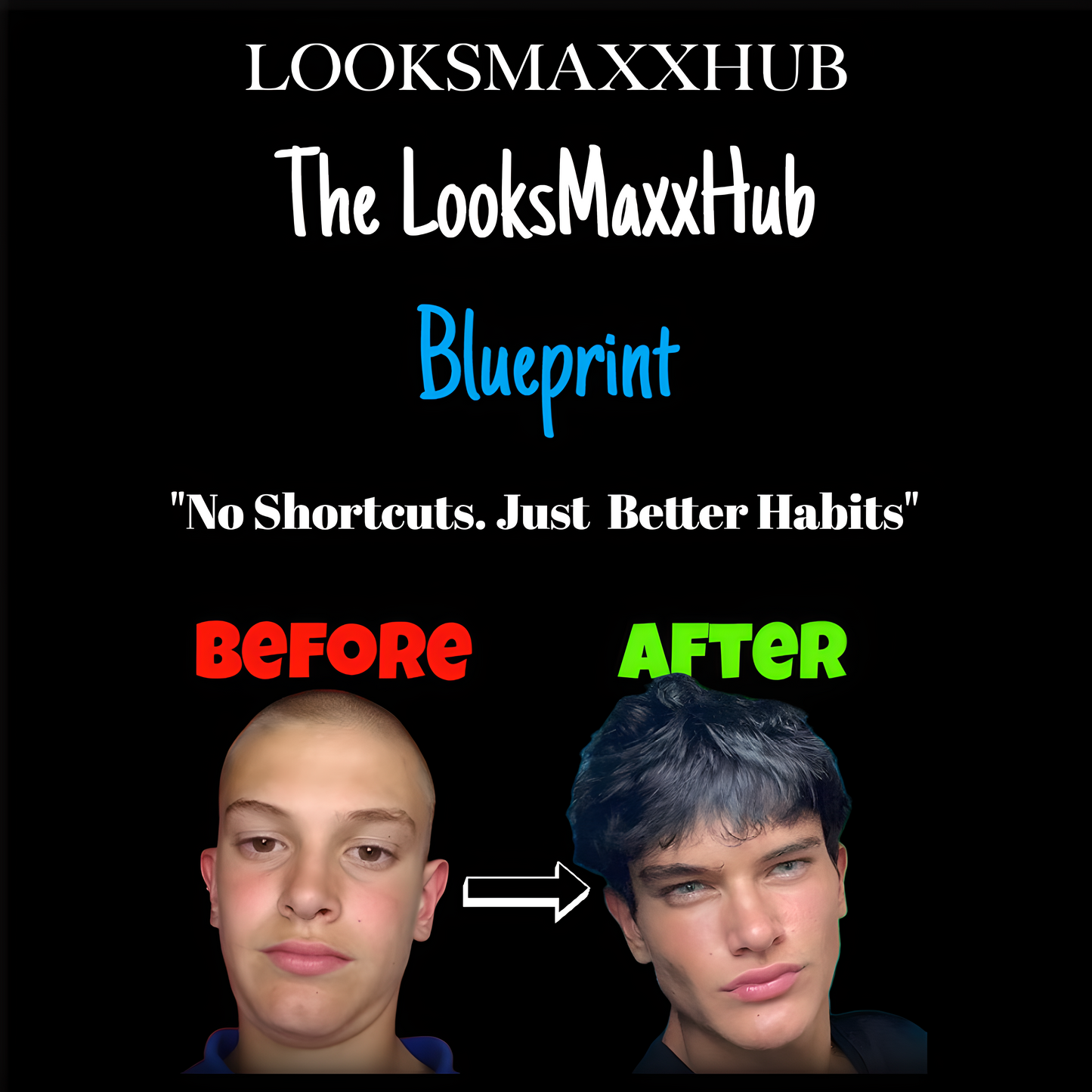 The LooksMaxxHub Blueprint